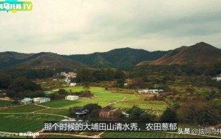 香港灵异事件鬼点餐是真的吗（轰动香港的灵异事件）