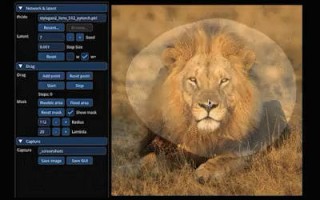 AI 图像编辑技术 DragGAN 开源，拖动鼠标即可将狮子 P 转头
