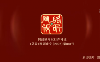 网络剧片发行许可证推出，《对决》获第 001 号
