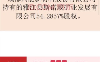 锂矿真抢疯了！330万起拍竞价超4亿元 50万人“吃瓜”