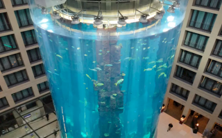 世界上最大的鱼缸今日突然破裂：100万升水泄露 1500条鱼死亡
